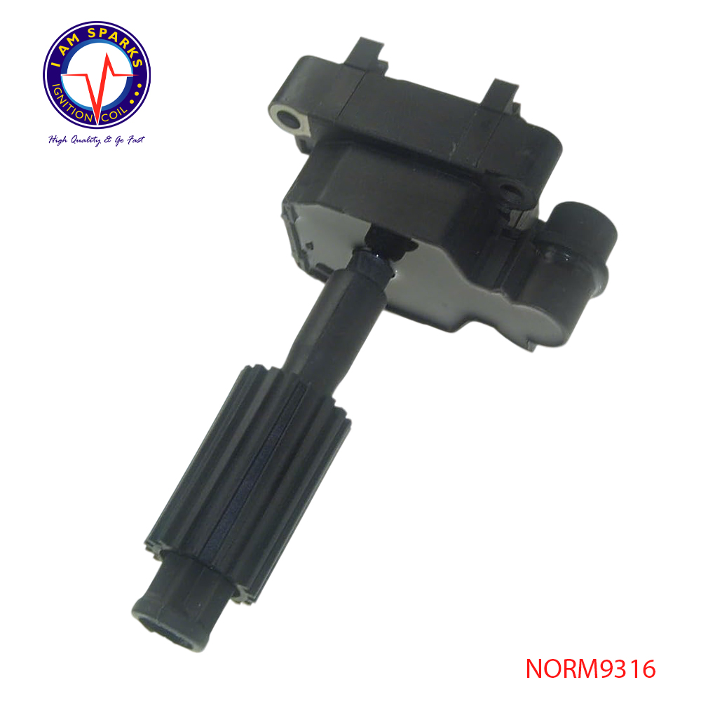 NORM9316