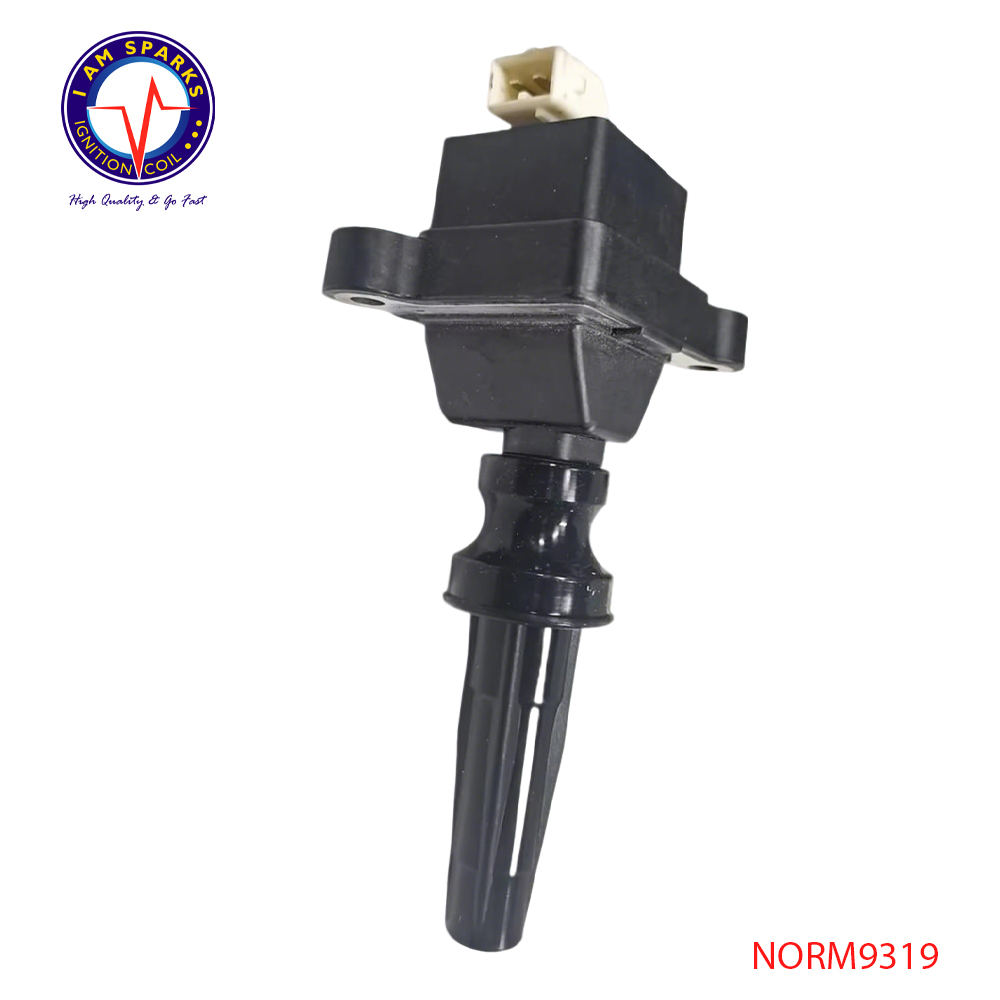 NORM9319