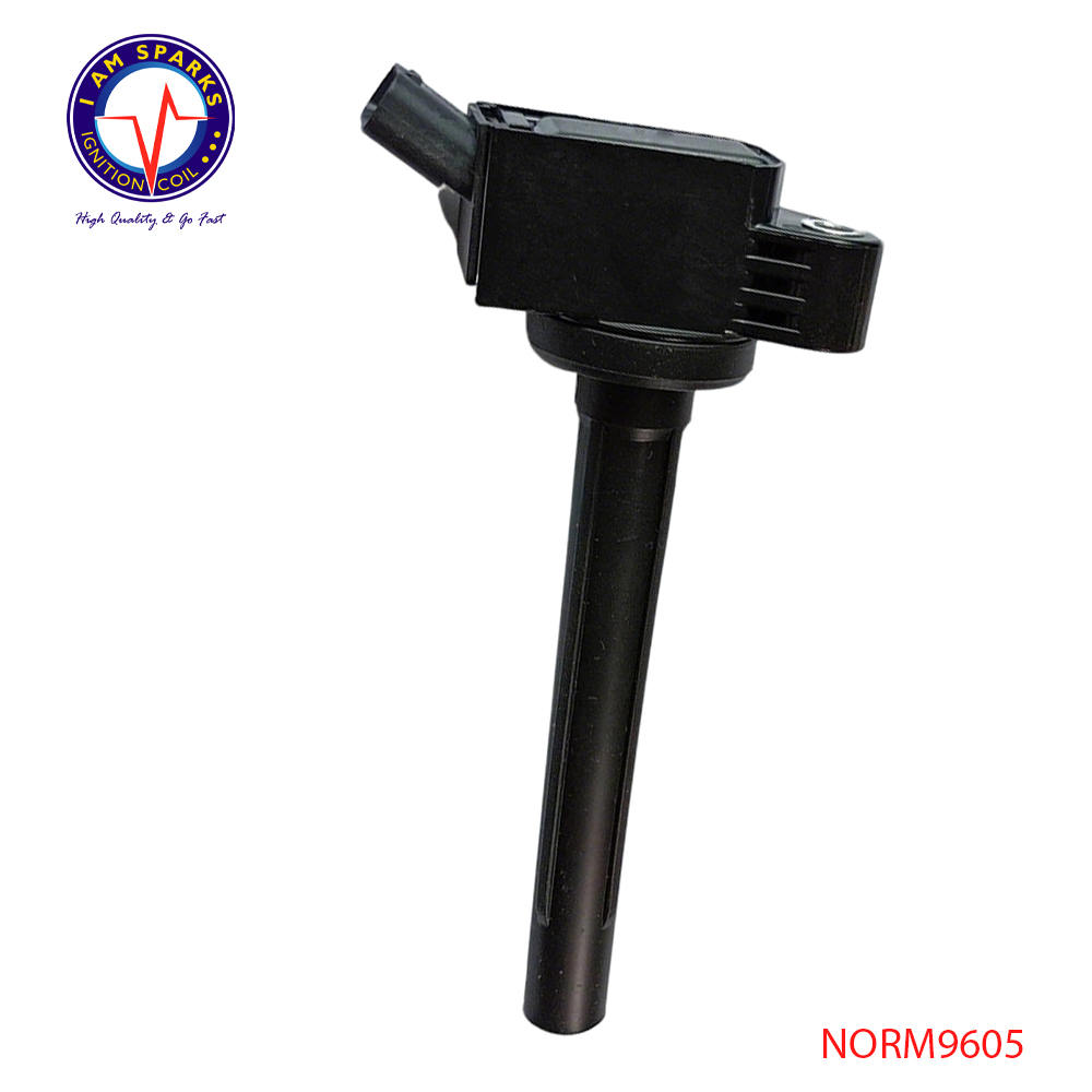 NORM9605