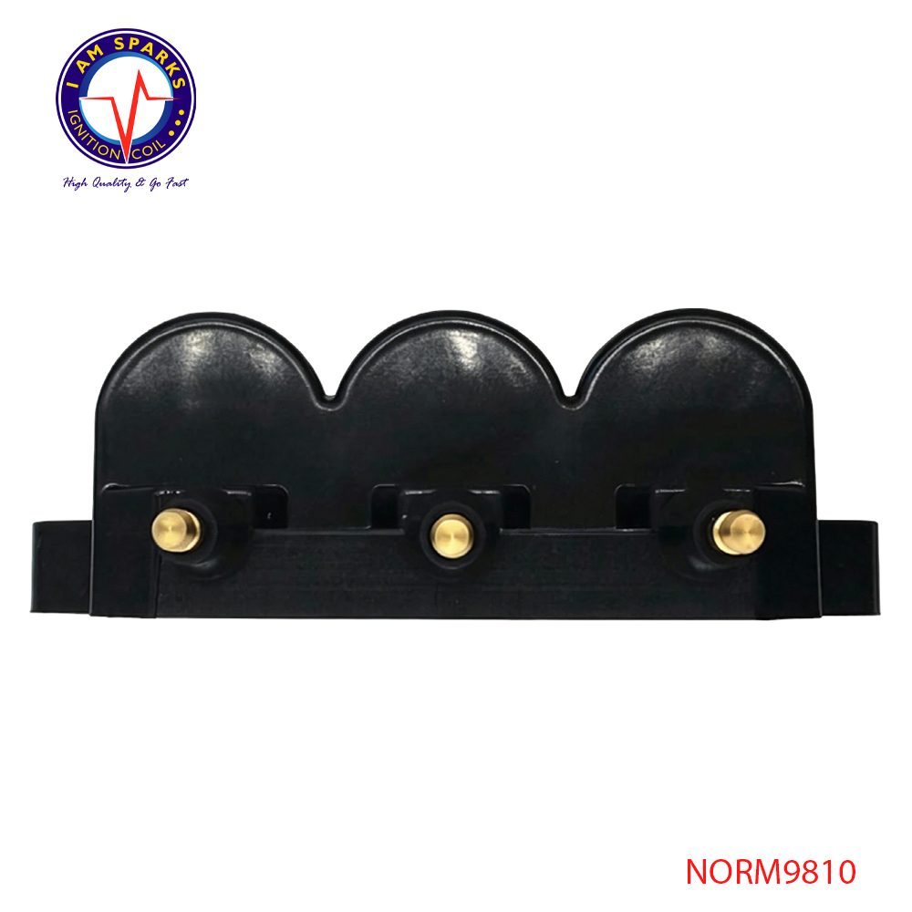 NORM9810