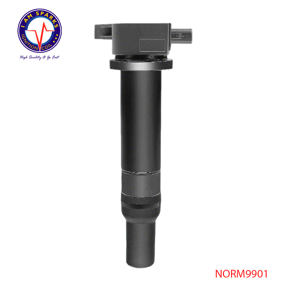 NORM9901