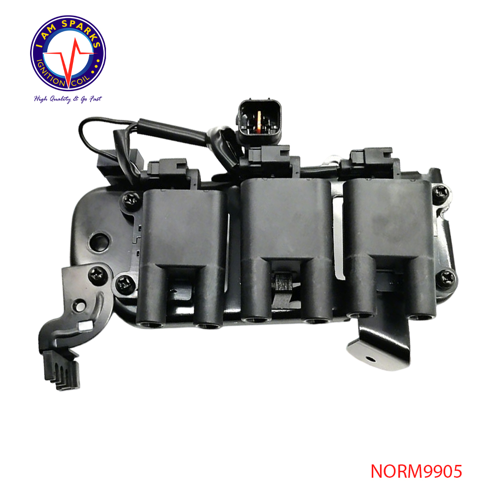 NORM9905