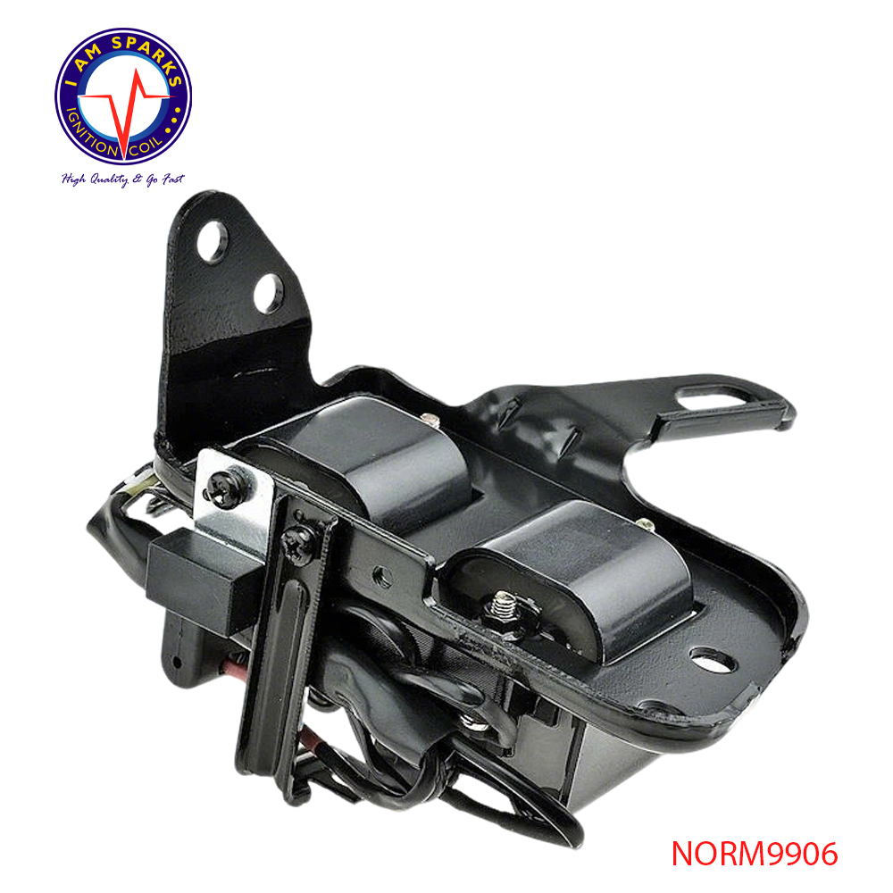 NORM9906
