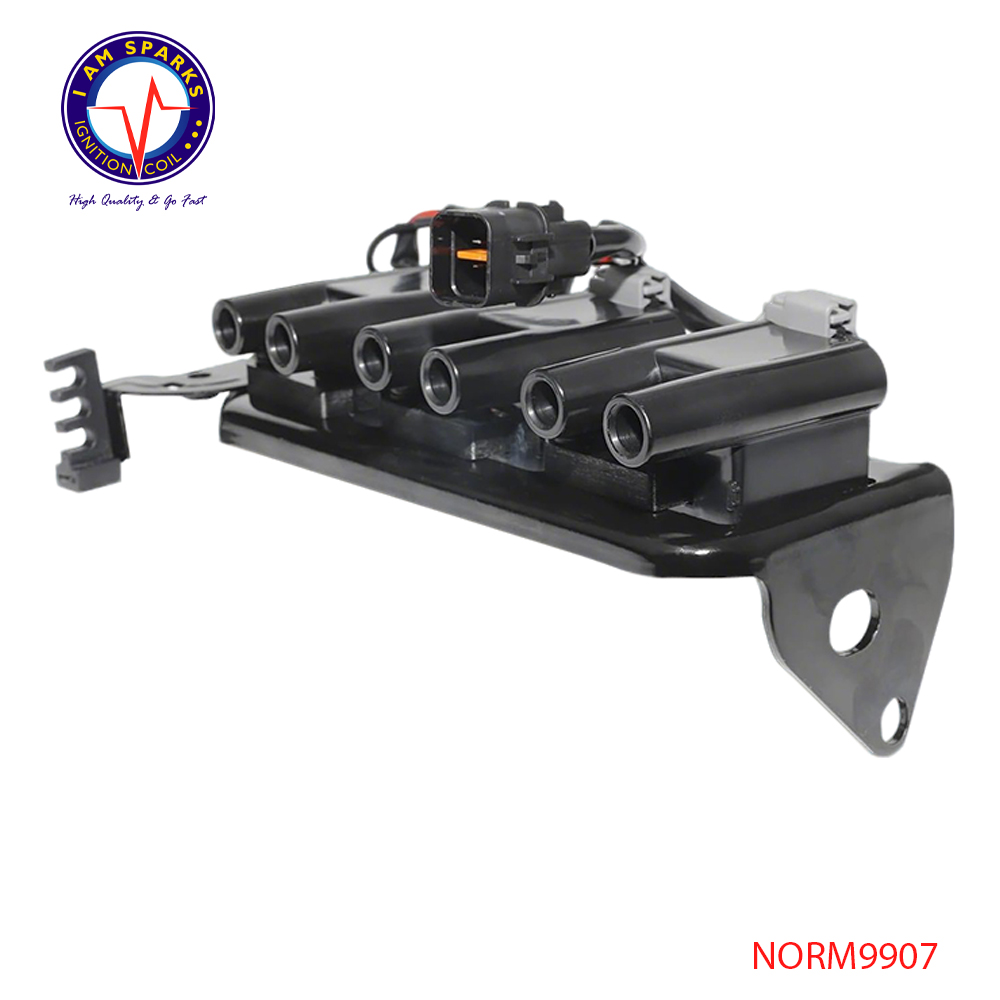 NORM9907