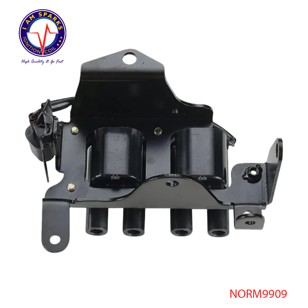 NORM9909
