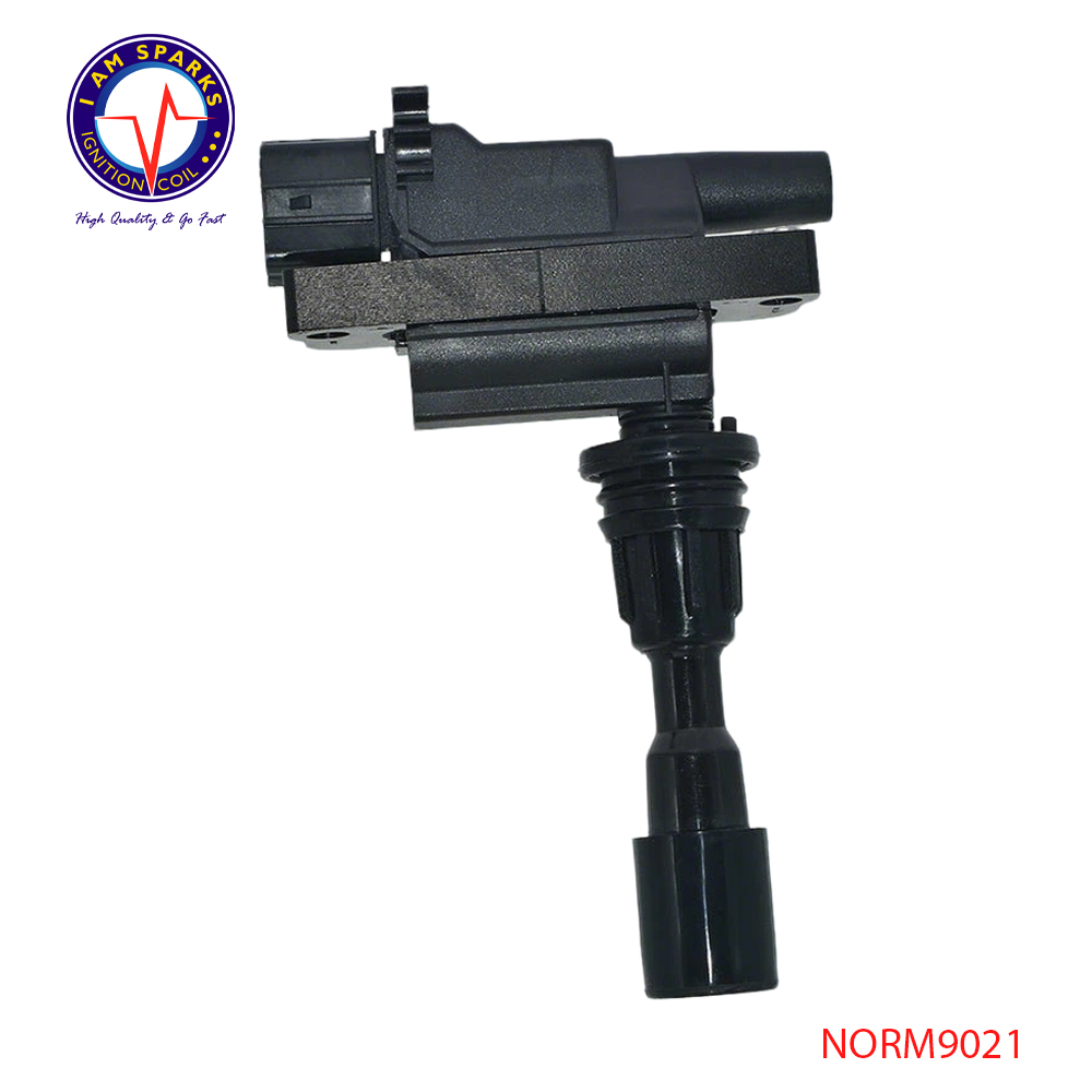 NORM9021