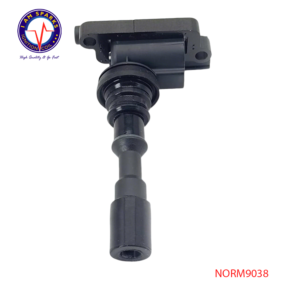 NORM9038