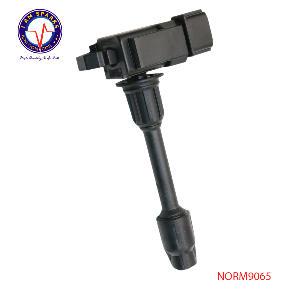 NORM9065